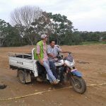 SUSTITUCION DE ANIMALES POR MOTOCARGUEROS3